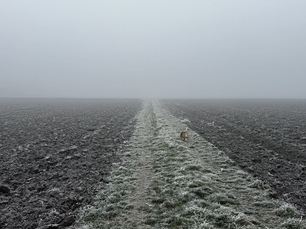Фотография автора Берлиоз Бегемот