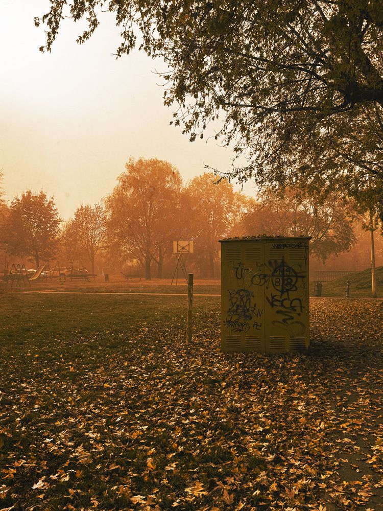 Фотография автора Берлиоз Бегемот