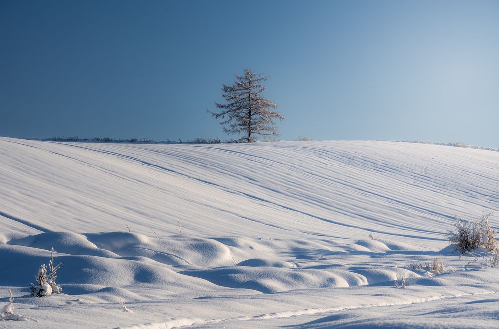 Photograph by Manh Cuong Truong