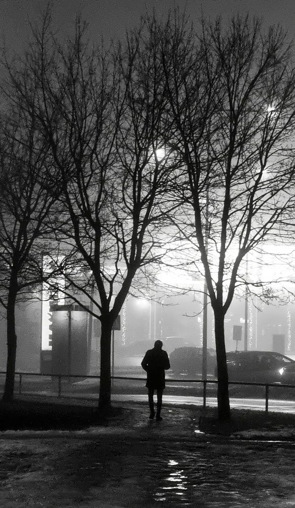 Photograph by Alla Matrosova