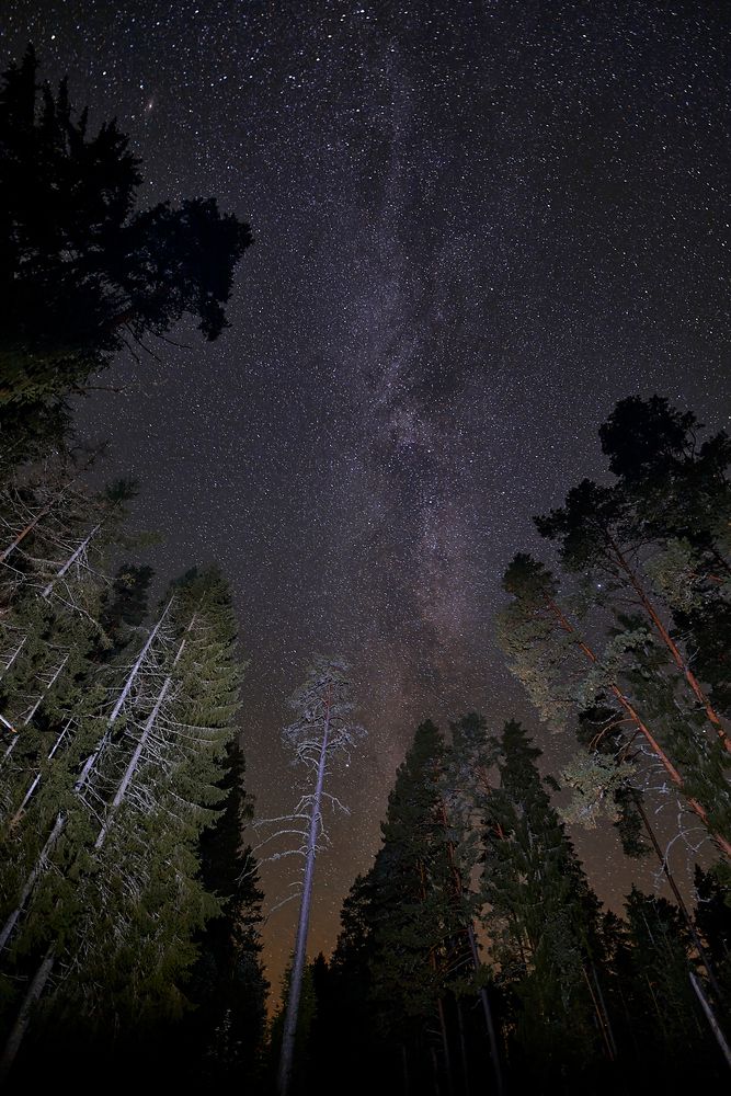 Photograph by Alla Matrosova