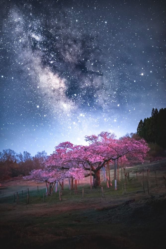 Фотография автора Bui Hoang Giang