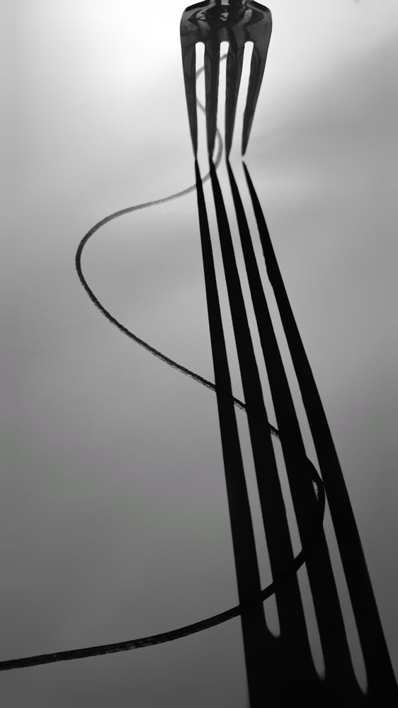 Photograph by Sina Saadati