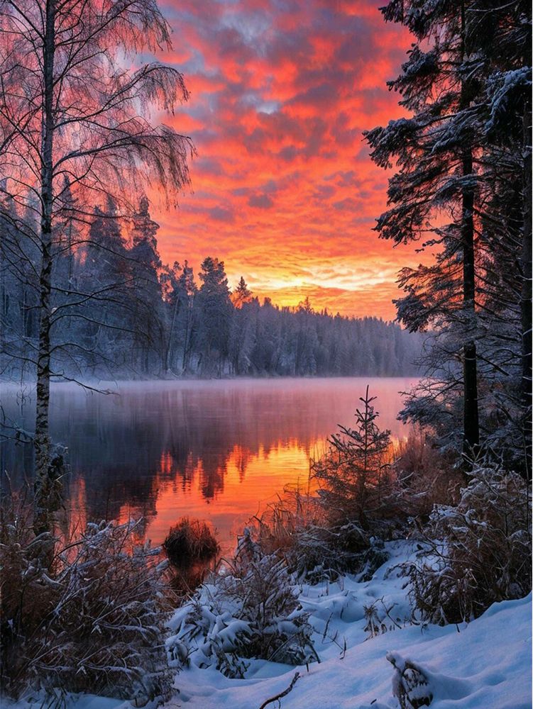 Photograph by Ольга Заповедная