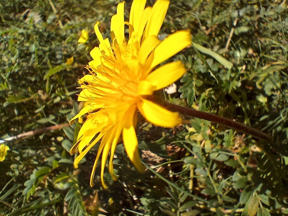 Photograph by Bojan Nikolovski