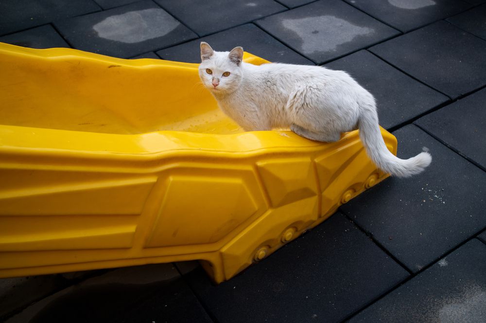 Photograph by Heidarian Mehr Morteza