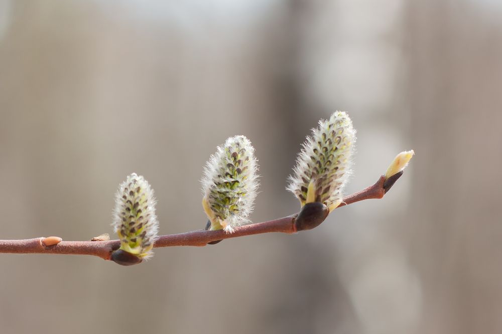 Photograph by Евгения Торженсмех