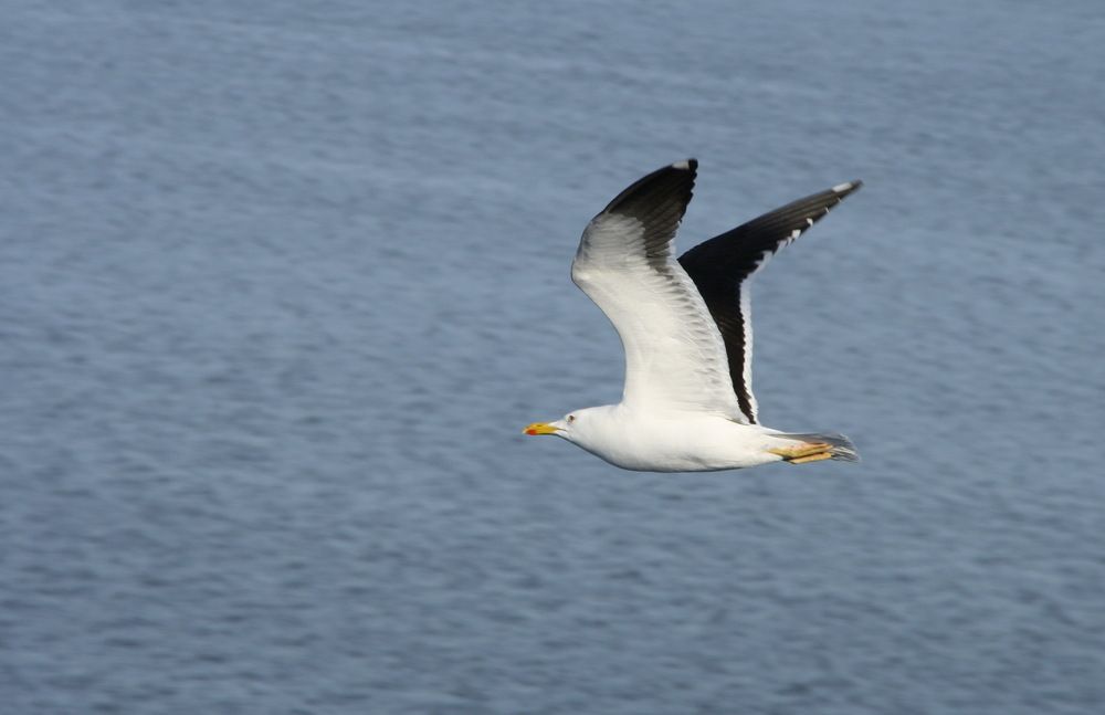 Photograph by Юрий Чистяков