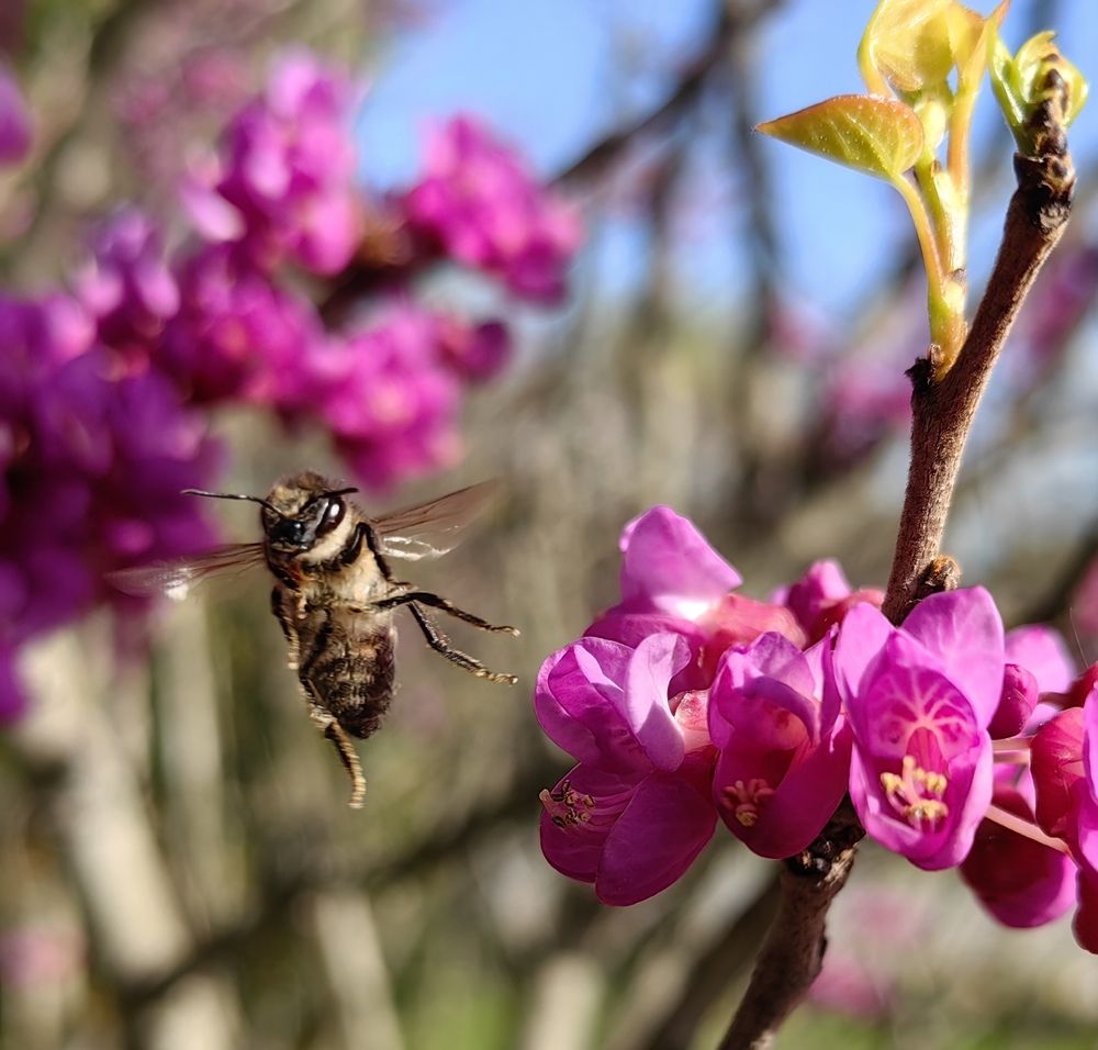 Photograph by Maiya Bulatova