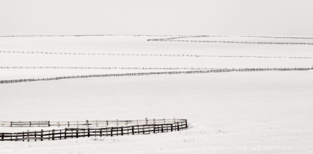 Monochrome winter day
