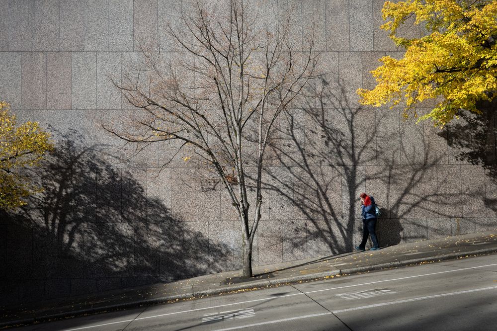Charming autumn in Seattle