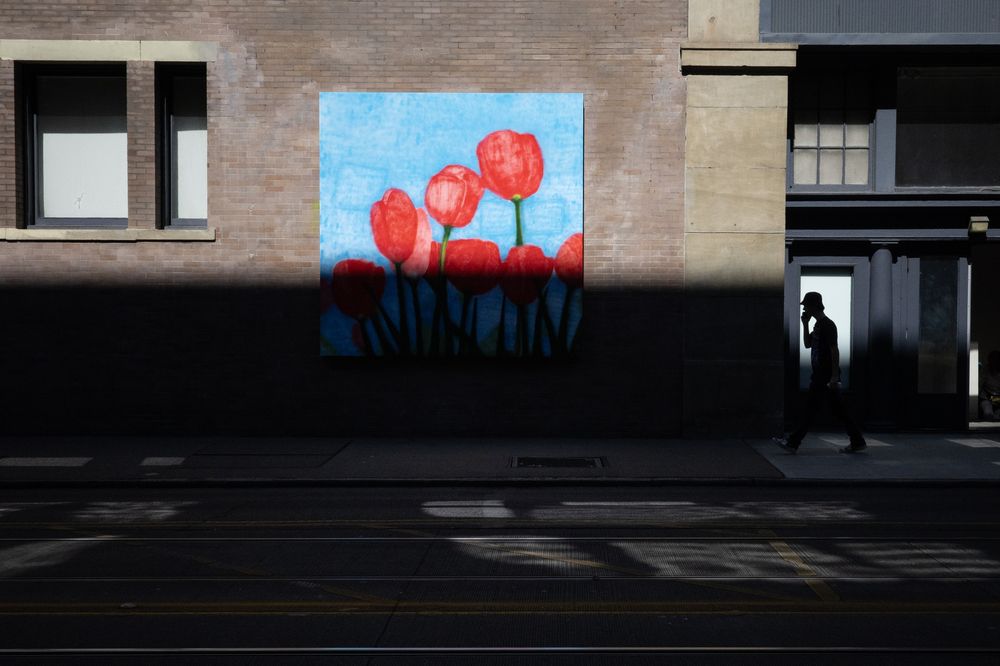 The rectangles and squares on street