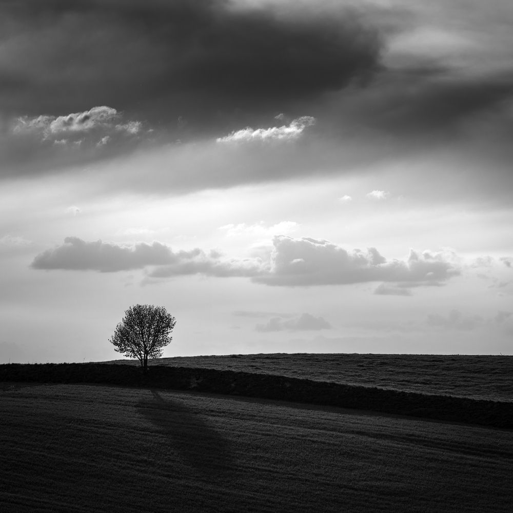 Photograph by Tomasz Dunajski