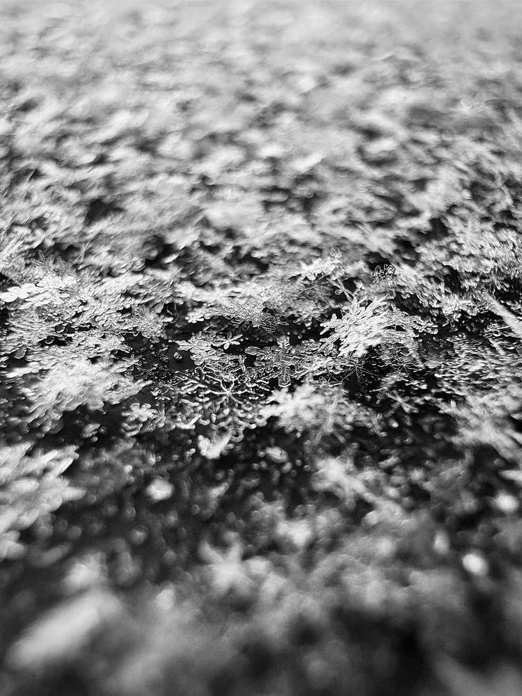 Photograph by Oksana Kuzmina