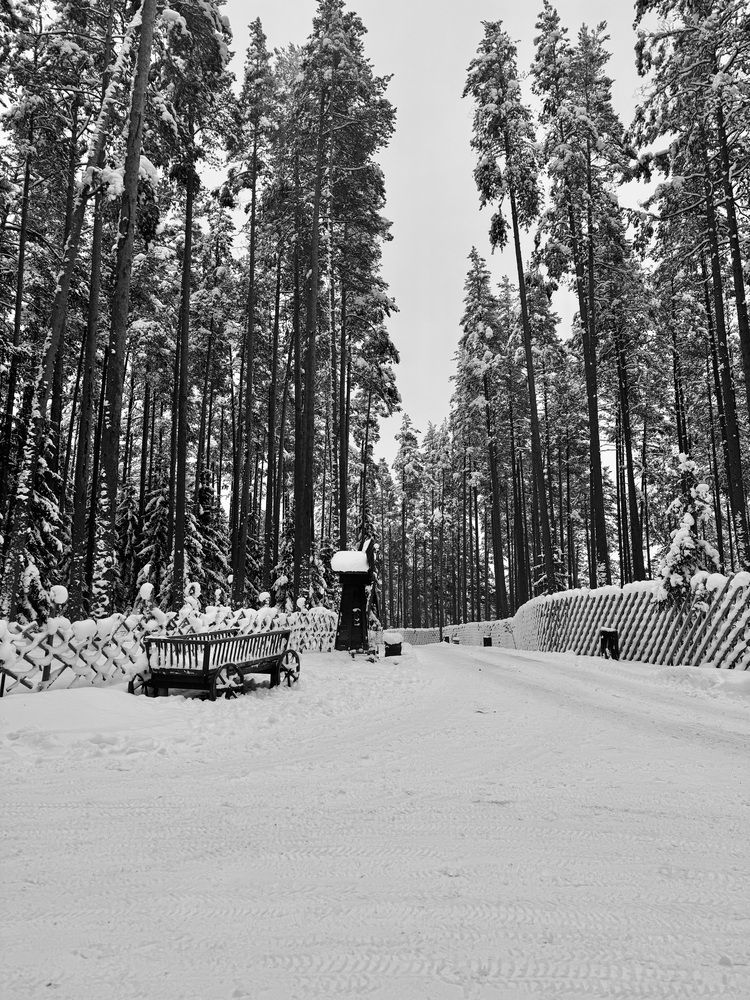 Photograph by Oksana Kuzmina