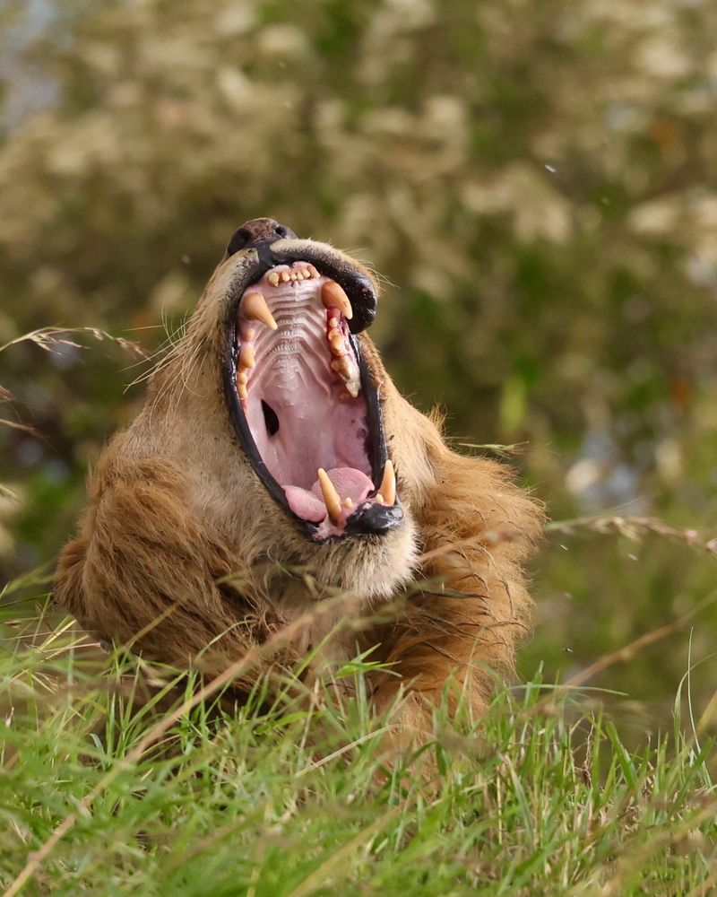 Photograph by Sanjay Risbood