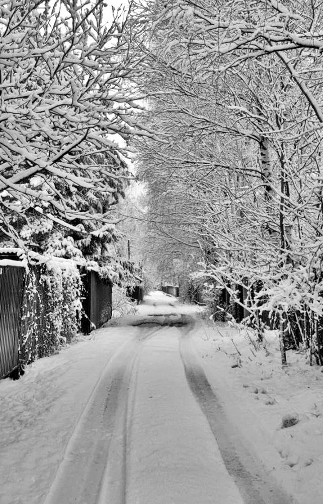 Photograph by Валерий Клейменов