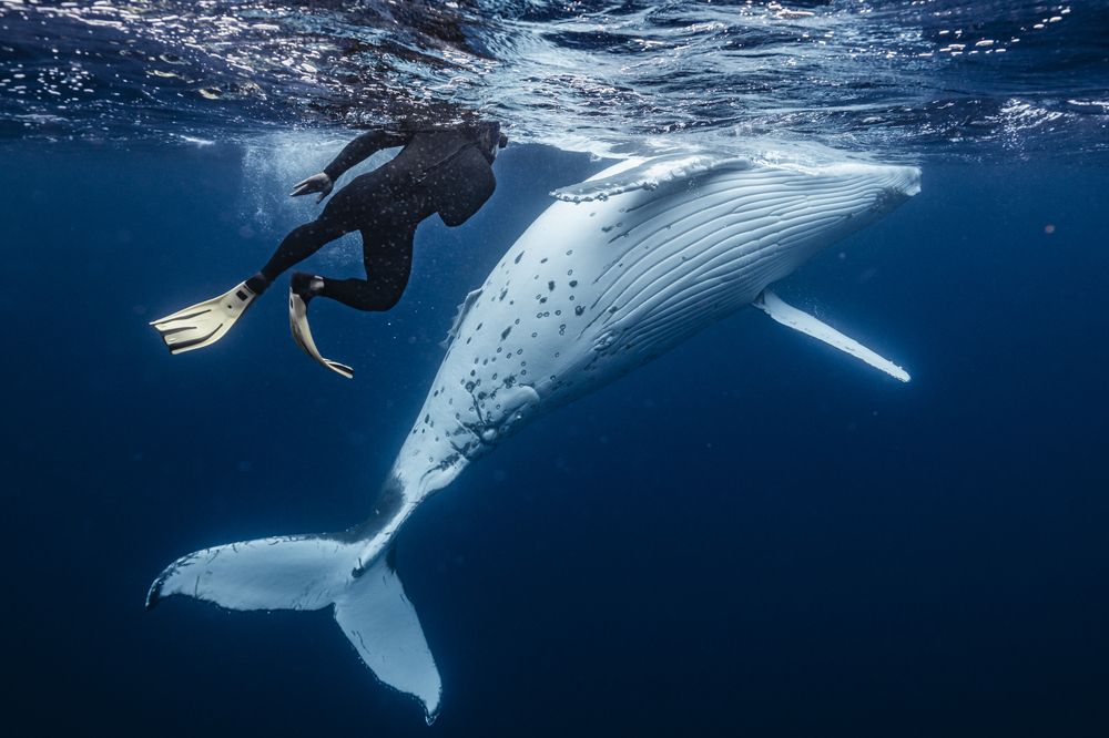 Photograph by Kurashima Daisuke