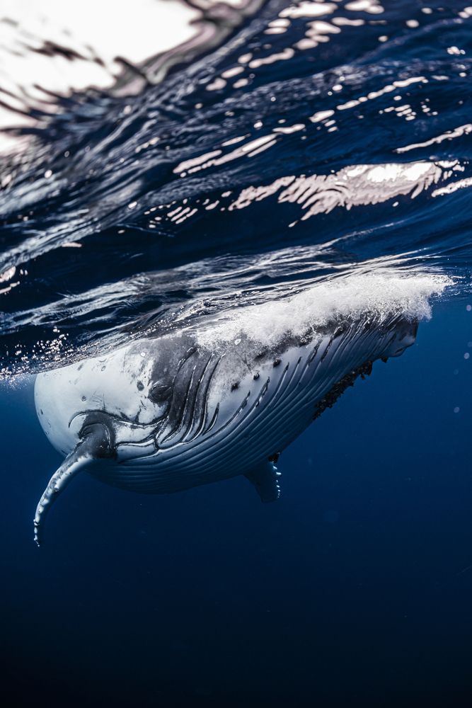 Photograph by Kurashima Daisuke