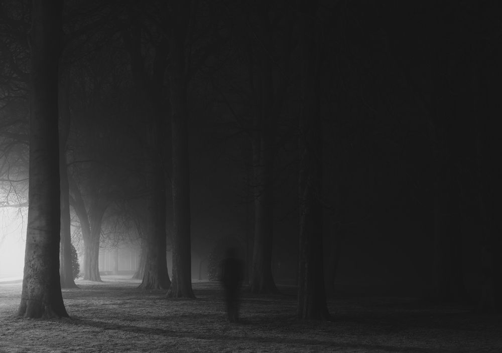 Photograph by Monolit