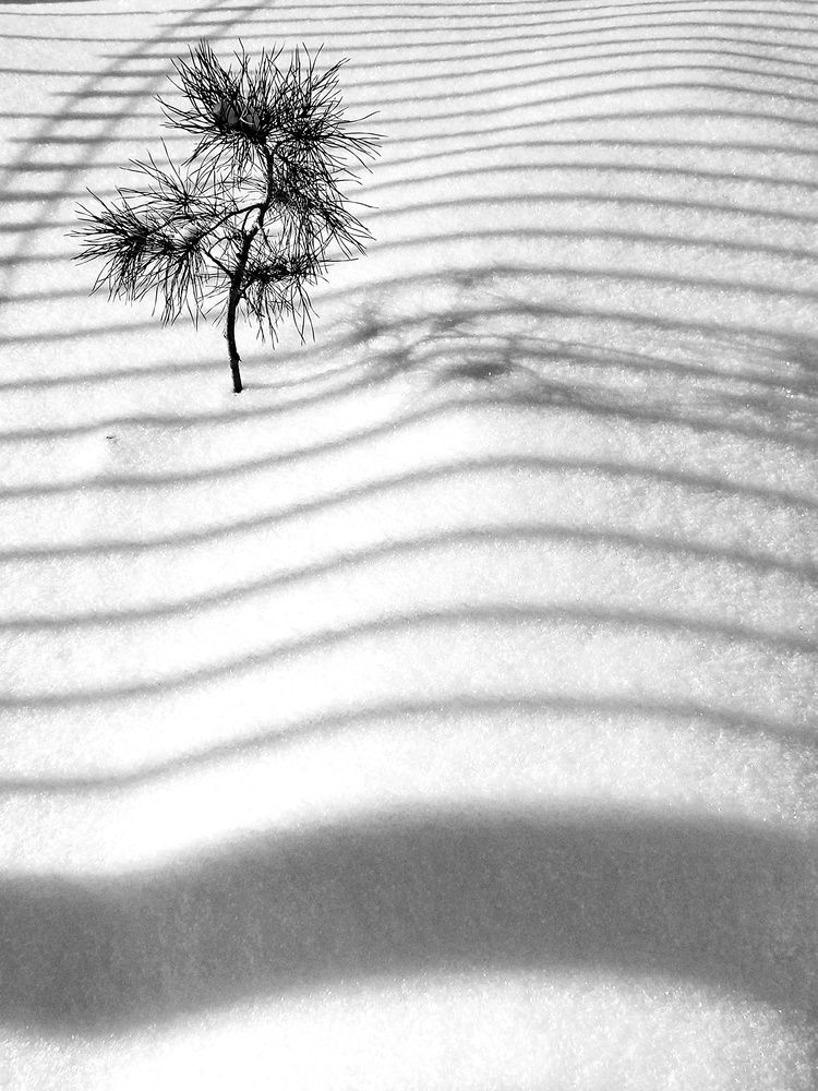 Фотография автора Екатерина Першина