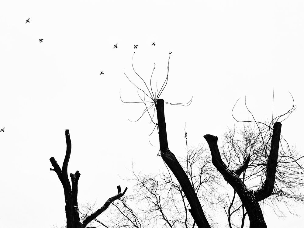 Фотография автора Екатерина Першина