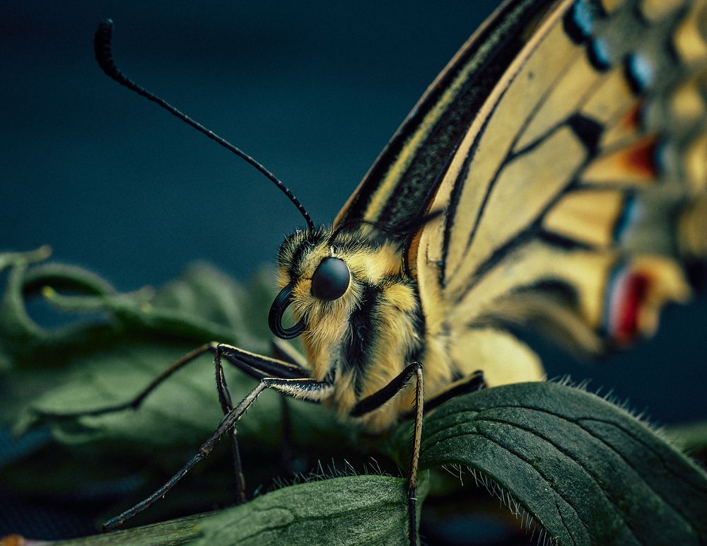 Photograph by Mikhail Khmelevskiy