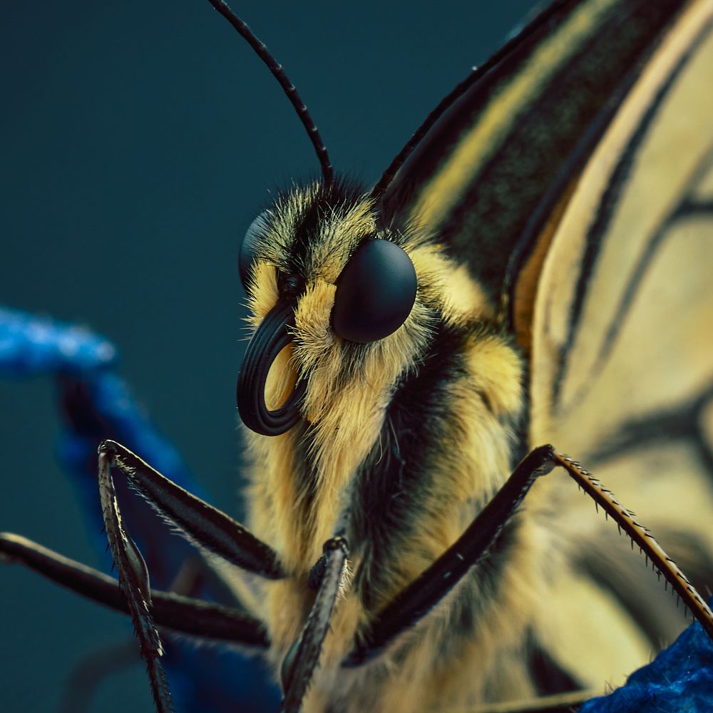 Photograph by Mikhail Khmelevskiy