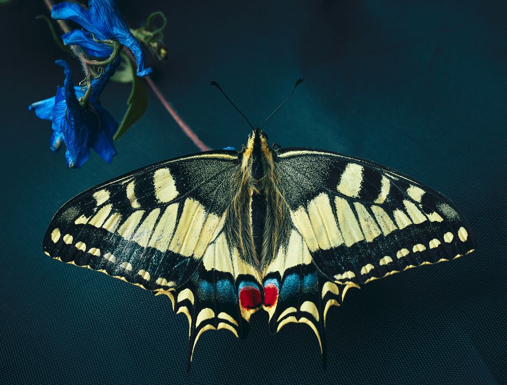 Photograph by Mikhail Khmelevskiy