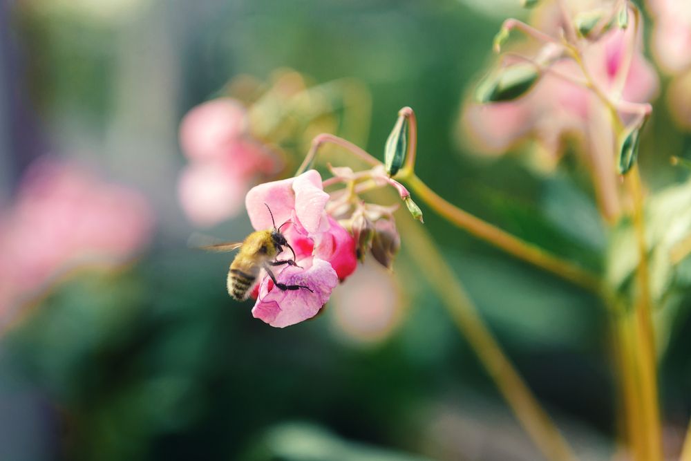 Photograph by Денис Илюхин