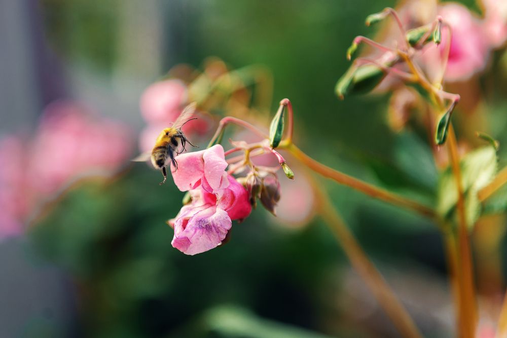 Photograph by Денис Илюхин