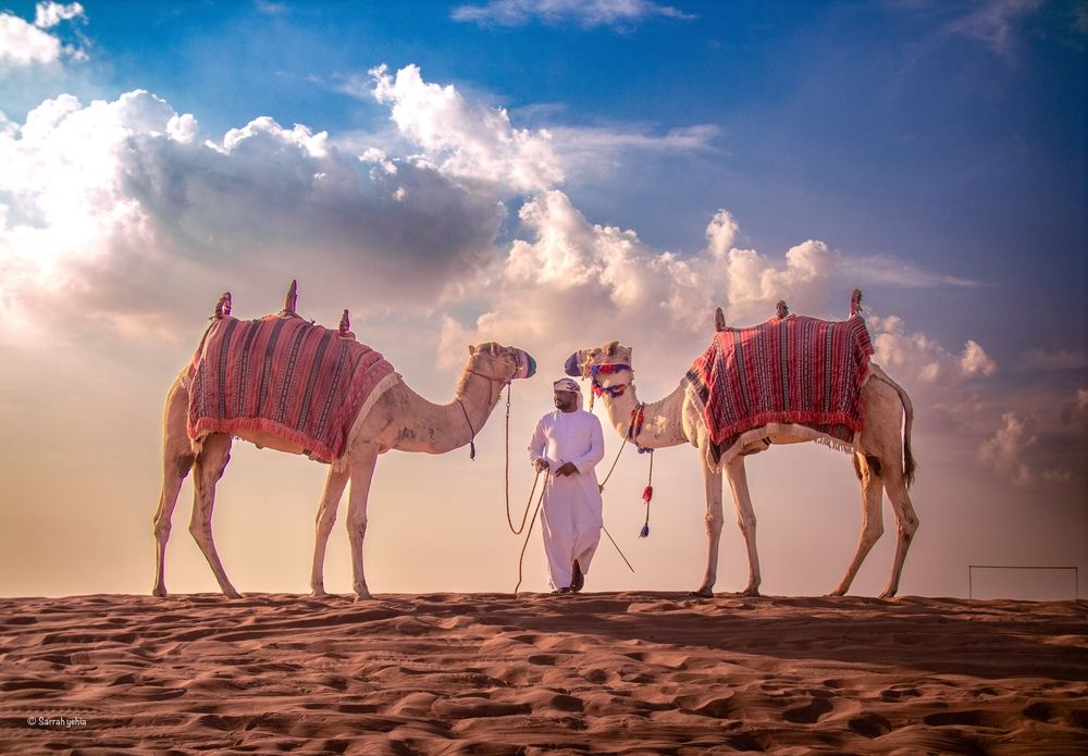 The earth has more space to go into dessert