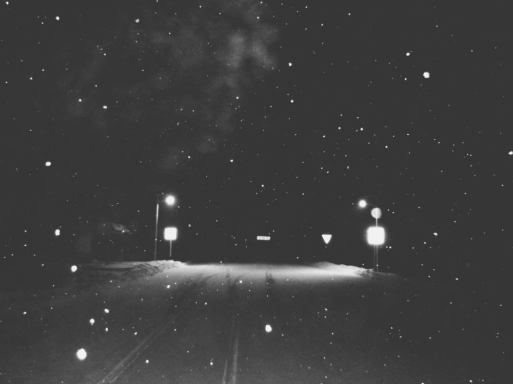 Photo #11884413