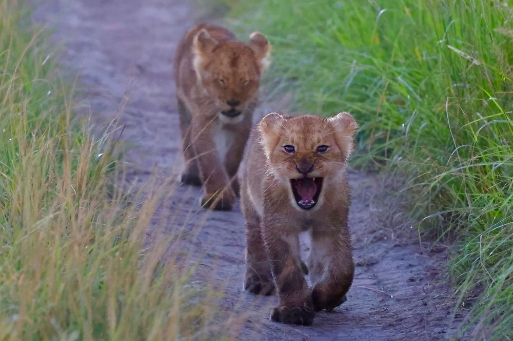 Photograph by Sanjay Risbood