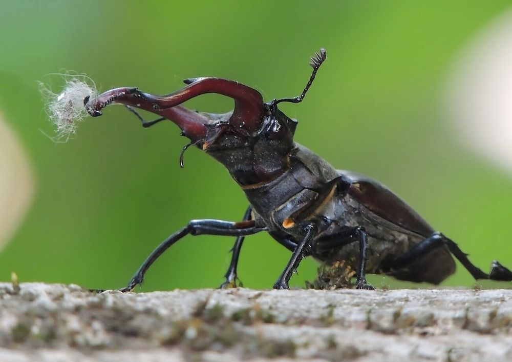 Photograph by Савоцкий Роман