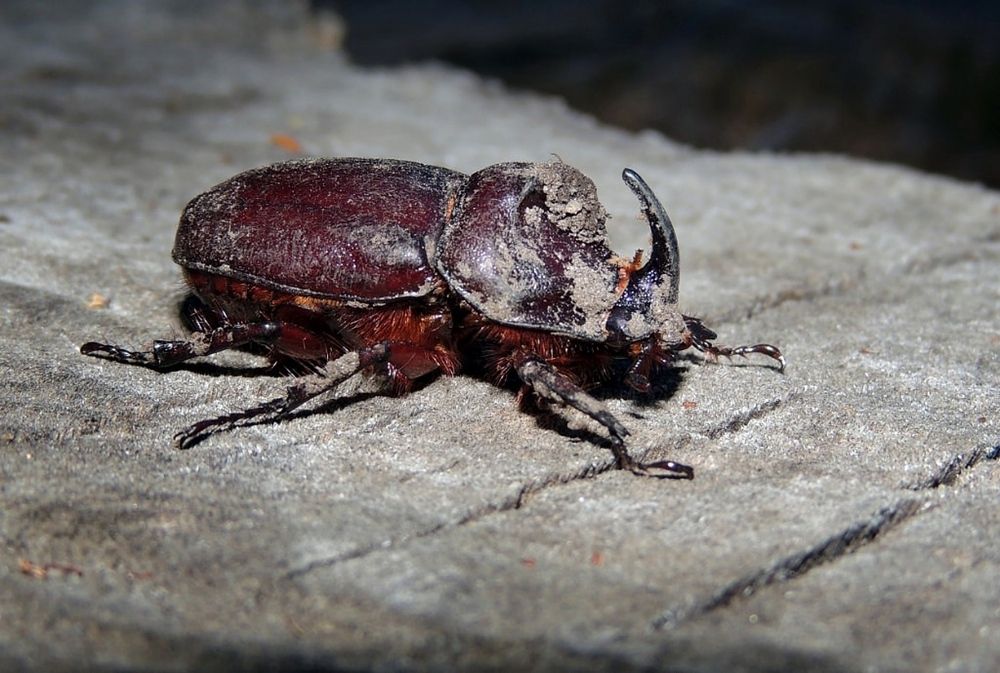 Photograph by Савоцкий Роман