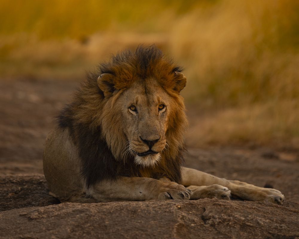 Photograph by Sai Kiran Bhagavatula