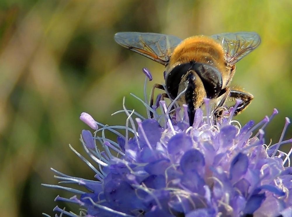 Фотография автора Роман Савоцкий