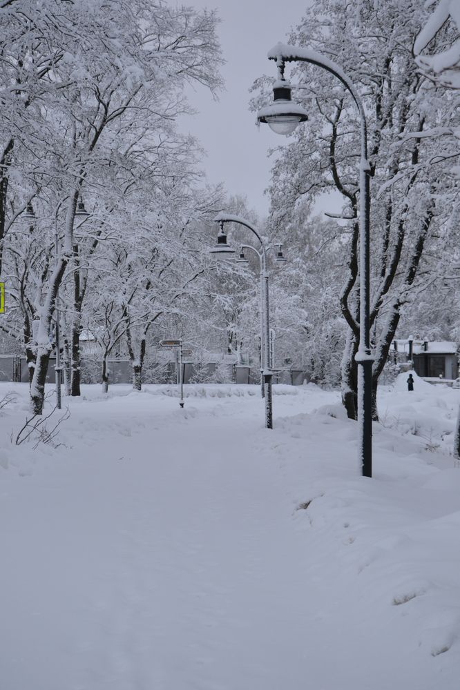 Photograph by Анна Голубова