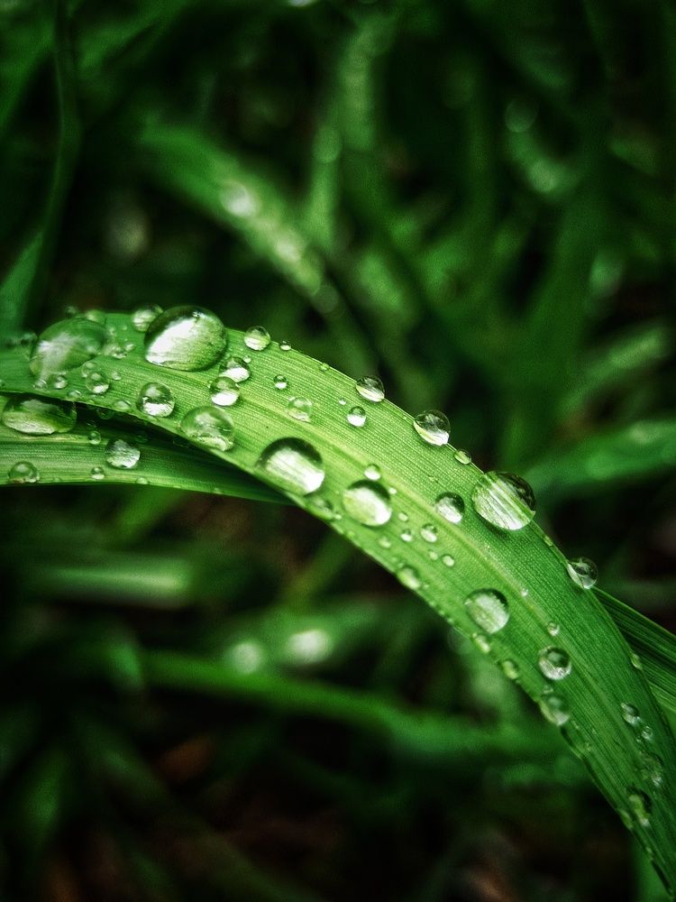 Photograph by Владимир Сушкин