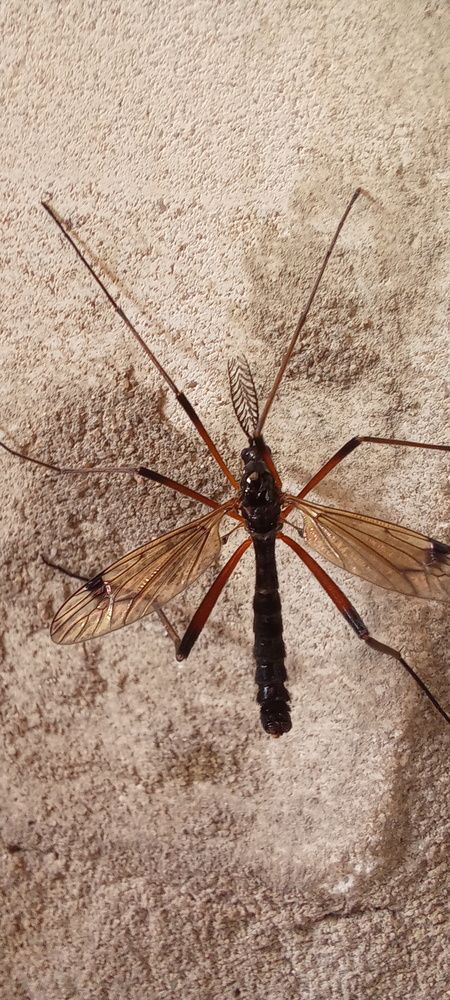 Фотография автора Марина Новикова