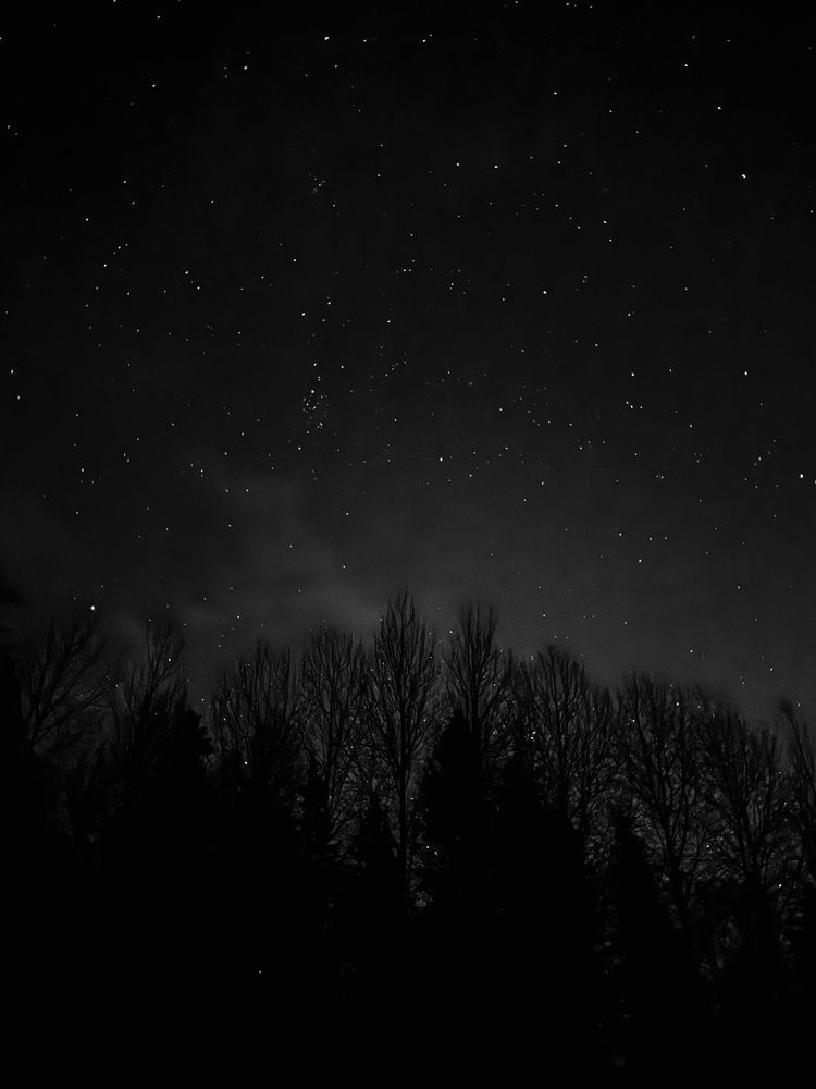 Photograph by Ксения Юртаева