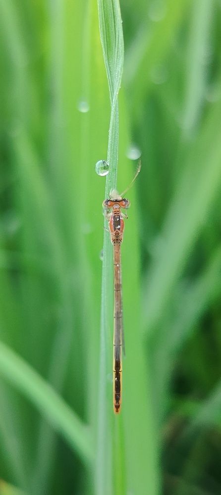 Фотография автора Thamaraikannan.v Thamaraikannan.v
