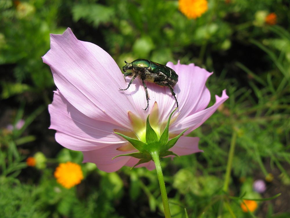 Photograph by Владимир