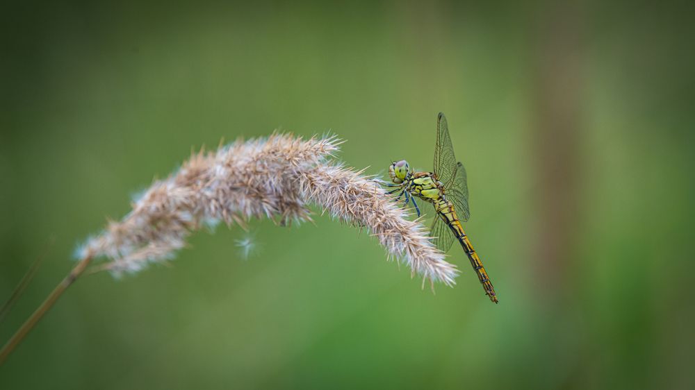 Photograph by Sofia Belyaeva