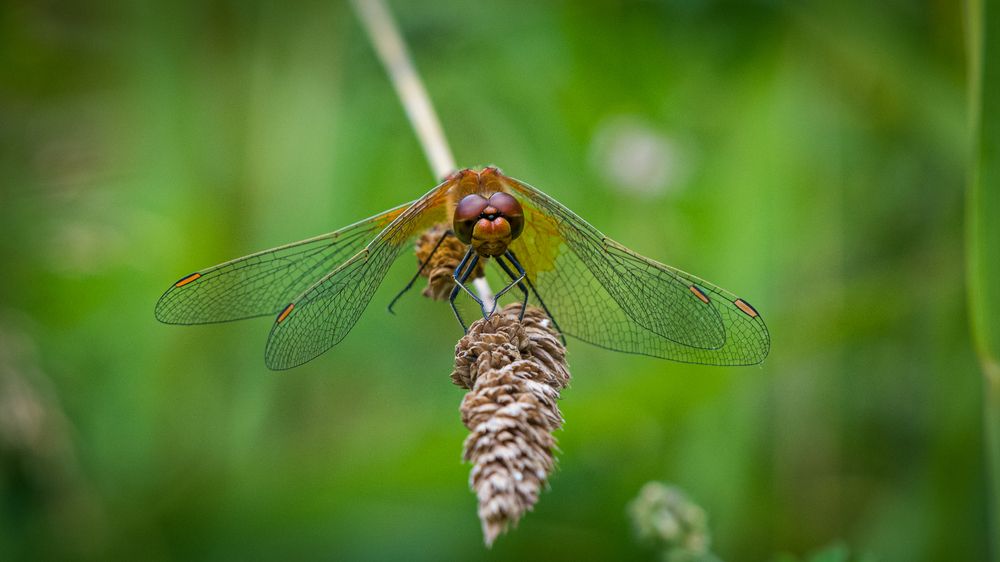 Photograph by Sofia Belyaeva