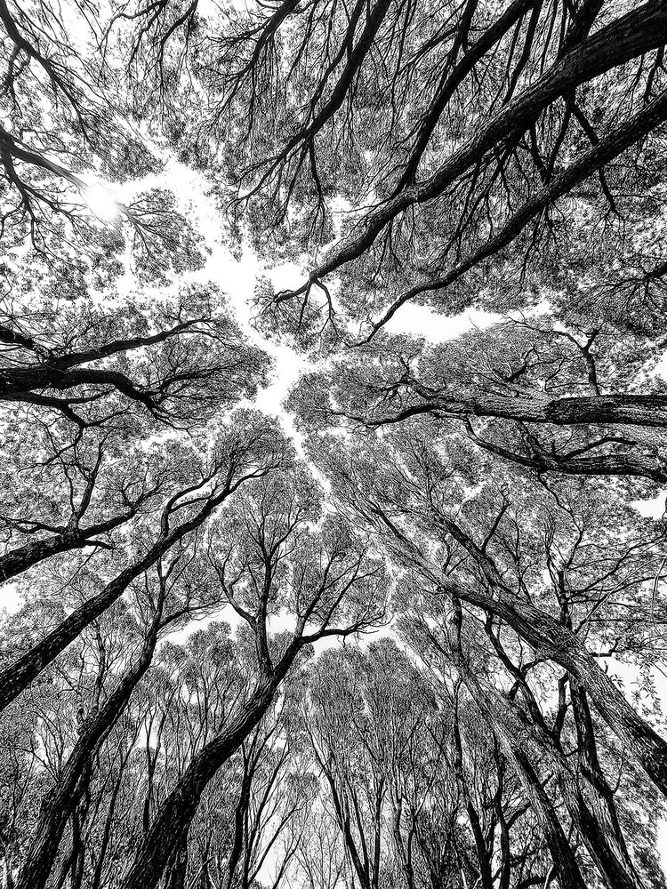 Photograph by Сергей Шварцман