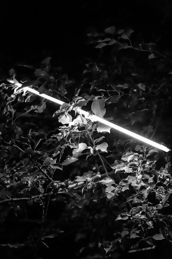 Photograph by Александр Карпухин