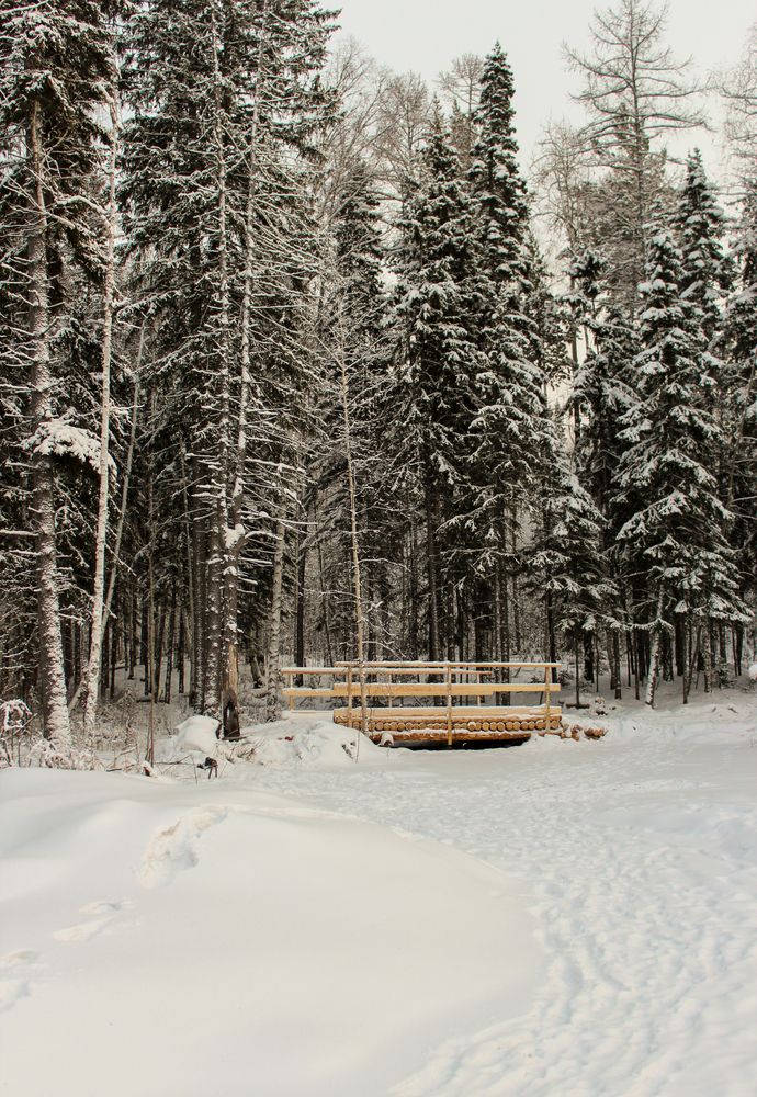 Photograph by Александр Карпухин