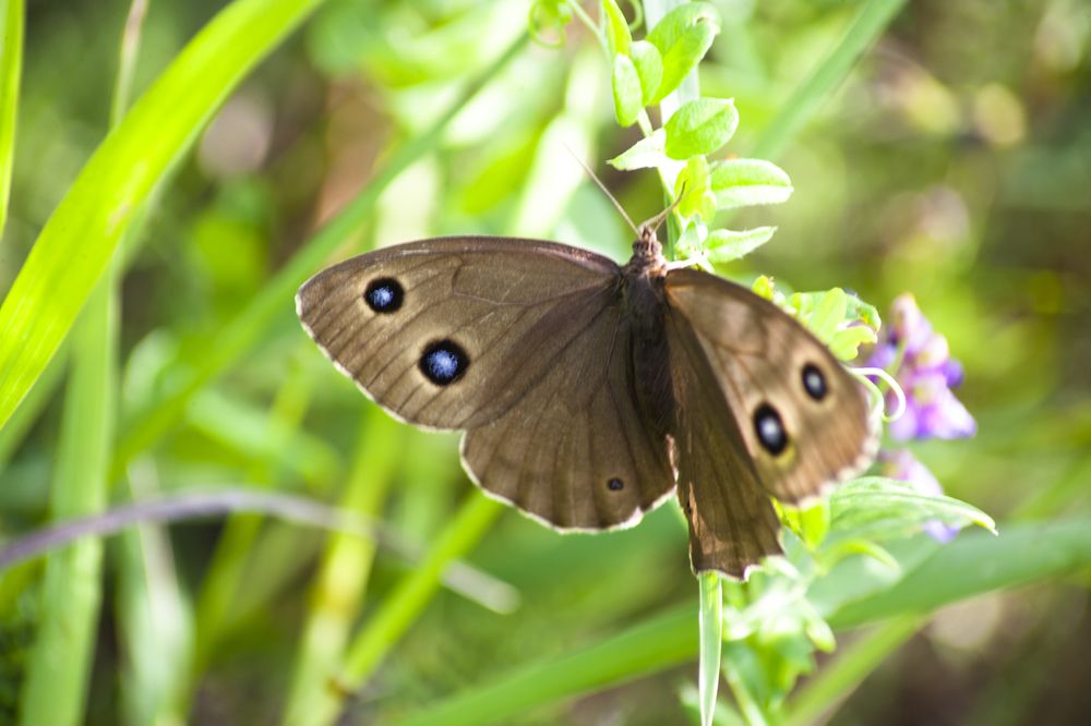 Photograph by Панюшкин Андрей